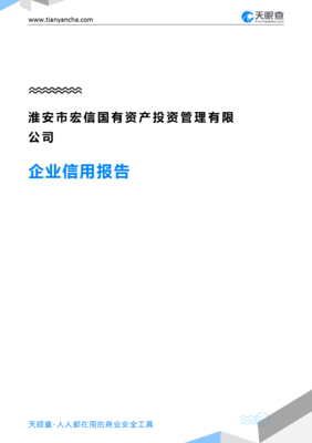 淮安市宏信国有资产投资管理(企业信用报告)- 天眼查